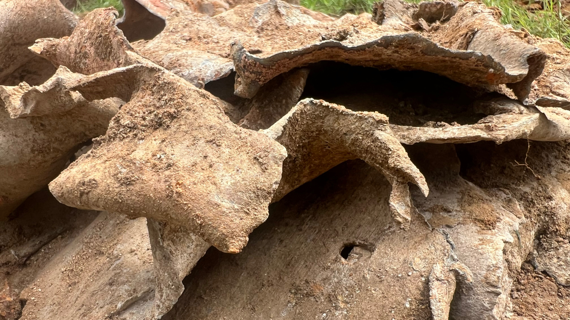 Recovered material from the demolished old temple structure